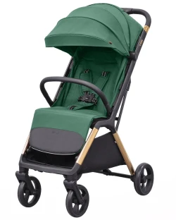 Parrot Green