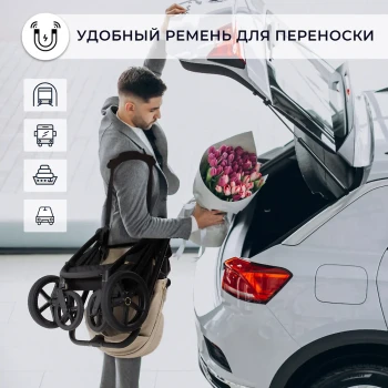 Шасси